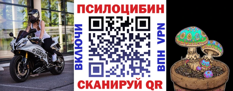 Купить  Иноземцево  Галлюциногенные грибы MAGIC MUSHROOMS 